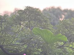 -北陵公园
