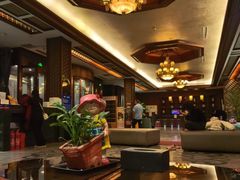 -水木谷养生水汇