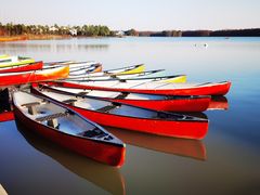 -上海海湾国家森林公园