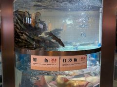 -老船舫·现做活鲜鱼馆(东郊记忆店)