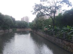 -晓港公园