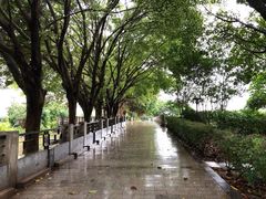 -黄埔古港
