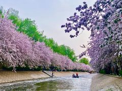 -海棠花溪(元大都城垣遗址公园)