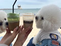 -ChanDu躔度咖啡(灯塔店)