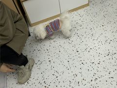 -瑞派康怡24h宠物医院·犬猫医疗中心·微创绝育(瑞景分院)