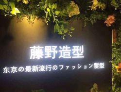 -藤野造型