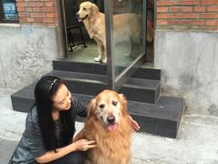 -百好乐宠物友好餐厅(朝外大街店)