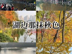 -重庆彩云湖湿地公园