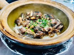 -红星光发煲仔饭(文海店)