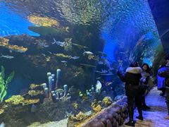 -华夏文旅海洋公园