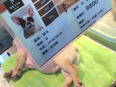 -百盛(莘庄店)