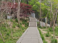 -崂山巨峰游览区