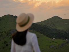 -大姆山草场