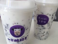 -一只酸奶牛(八一路店)