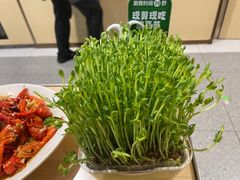 -海底捞火锅(泉城路店)