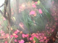 -杭州第一世界大酒店·云曼温泉