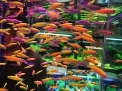 -三旗百汇商品城