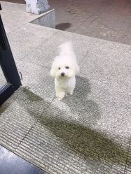 -無名发艺