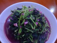 -全乐鱼馆·淳牌有机鱼直营店