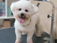 -佳雯宠物医院·皮肤科·内外科(春晓路分院)