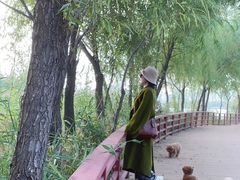 -绿堤公园