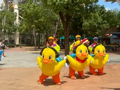 -武汉玛雅海滩水公园