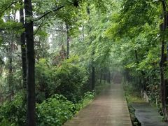 景点-云碧峰国家森林公园