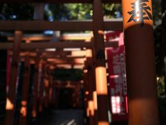 -上野公园花园稻荷神社(忍岡稲荷神社)