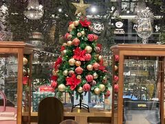 -淮国旧H22·中古店