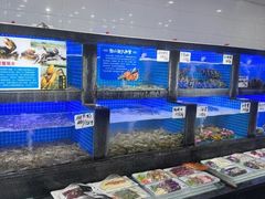 -小海丁