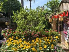 -园林美食城·本土农家菜(杨和镇店)