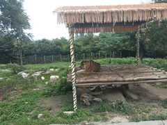 -西安秦岭野生动物园