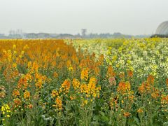 -中国天府农业博览园