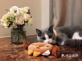 《假如我能阻止一颗心碎》  ——艾米丽·狄金森