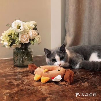 《假如我能阻止一颗心碎》 ——艾米丽·狄金森