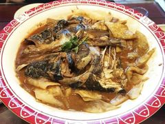 -邵年鸽(杨庄店)