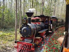 -合肥滨湖国家森林公园