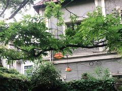 -古董花园(思南路42弄小区店)