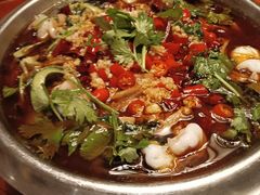 -老江南春·中国龙菜(衡山路店)