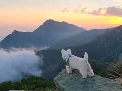 -白草畔自然风景区