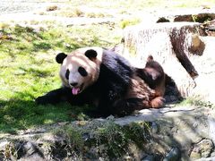 滚滚-碧峰峡风景区