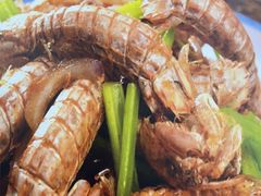 -郭姐·威海渔村(黄兴路店)