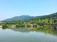 -石塘人家