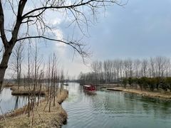 -溱湖国家湿地公园