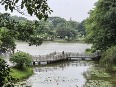 -东莞植物园