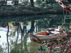 -上海醉白池公园