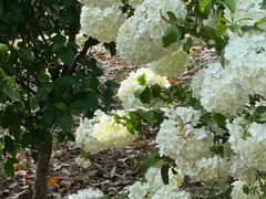 -浙江农林大学(东湖校区)