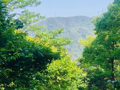 -北仑森林植物园