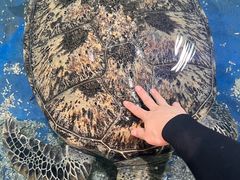-邯郸海洋世界