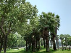 -厦门国家会计学院